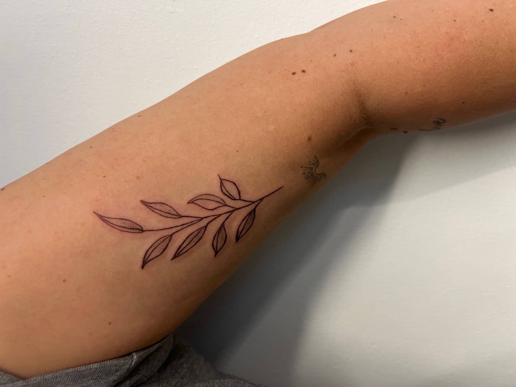 Fine line botanical leaf tattoo on the arm